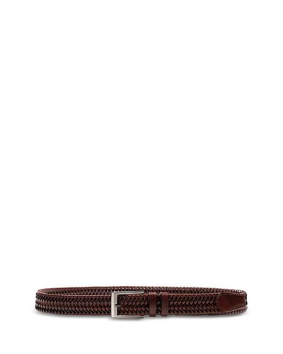 Magnanni Magnanni Cortez Midbrown Belt