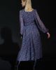 Maison Common Maison Common Silk Georgette Printed Dress - 4