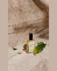 Maison Louis Marie 0.5 oz. No.02 Le Long Fond Perfume Oil - 2