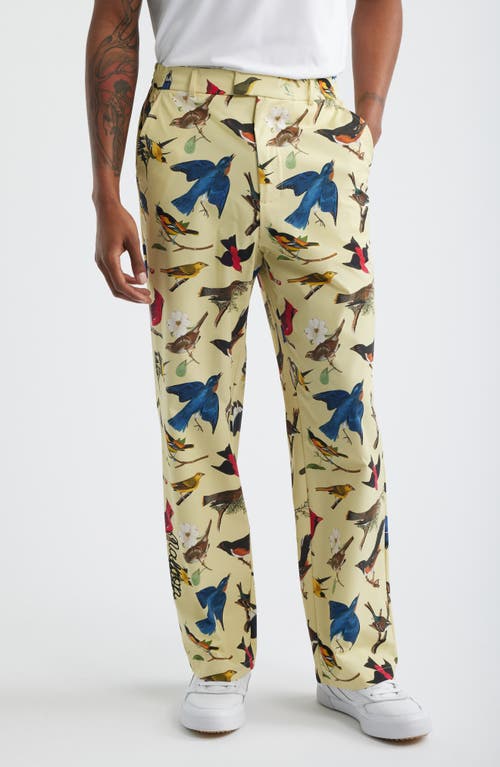 MALBON MALBON Birds of Georgia Print Magnolia Performance Pants