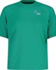 Maloja Maloja Dambelm Moutain T-Shirt - Women's - 1