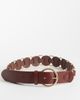 Mango Mango gold hoop detail belt in brown - 1