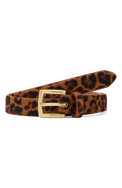 MANGO MANGO Leopard Print Calf Hair Belt