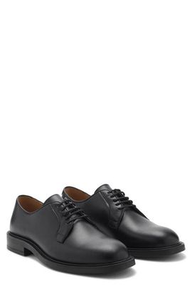 MANGO MANGO Oxford