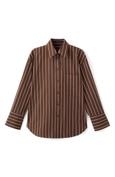 MANGO MANGO Stripe Cotton Button-Up Shirt