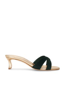 Manolo Blahnik Manolo Blahnik Callydramu 50 Kitten Heel Sandal