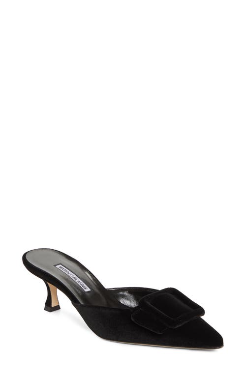 Manolo Blahnik Manolo Blahnik Maysale Buckle Pointed Toe Mule