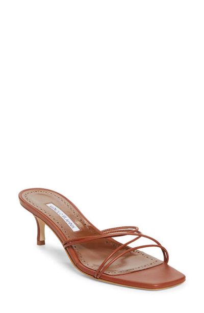 Manolo Blahnik Manolo Blahnik Ninefemu Strappy Kitten Heel Slide Sandal