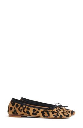 Mansur Gavriel Mansur Gavriel Dance Calf Hair Ballerina Flat