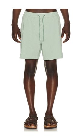 Marine Layer Marine Layer 6 Lined Sport & Swim Short