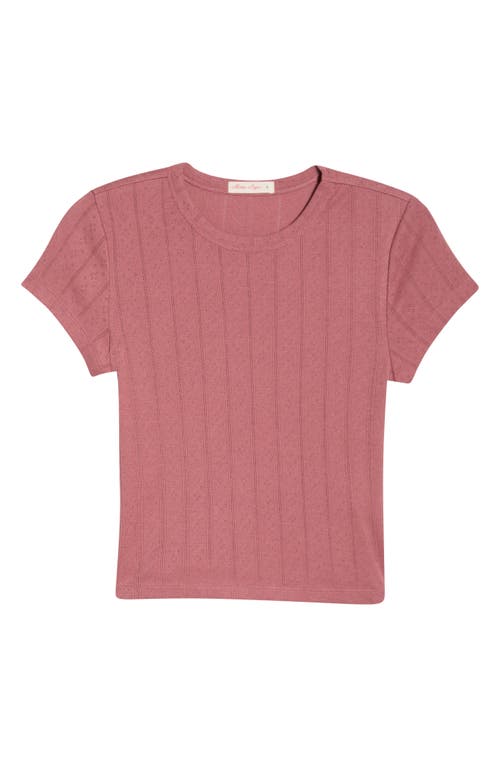 Marine Layer Marine Layer Lexi Pointelle Crewneck T-Shirt