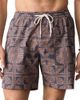 Marine Layer Marine Layer Lined Sport & Swim Short 6 - 1