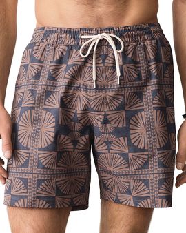 Marine Layer Marine Layer Lined Sport & Swim Short 6