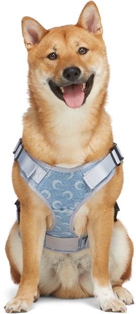 Marine Serre Marine Serre SSENSE Exclusive Blue Upcycled Denim Harness