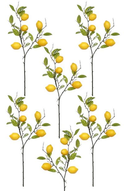 Mark Roberts Mark Roberts Lemon Spray, Box of 6