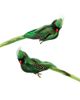 Mark Roberts Mark Roberts Tropical Bird Décor, Box of 6 - 1