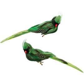 Mark Roberts Mark Roberts Tropical Bird Décor, Box of 6