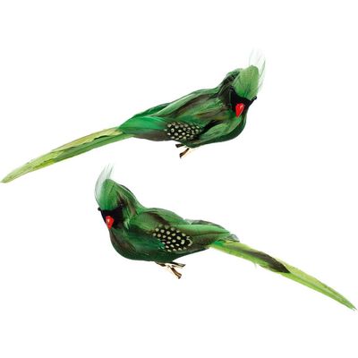 Mark Roberts Mark Roberts Tropical Bird Décor, Box of 6