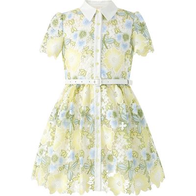 Marlo Kids Marlo Kids Vienna Embroidered Mini Dress (Toddler, Little Kid & Big Kid)