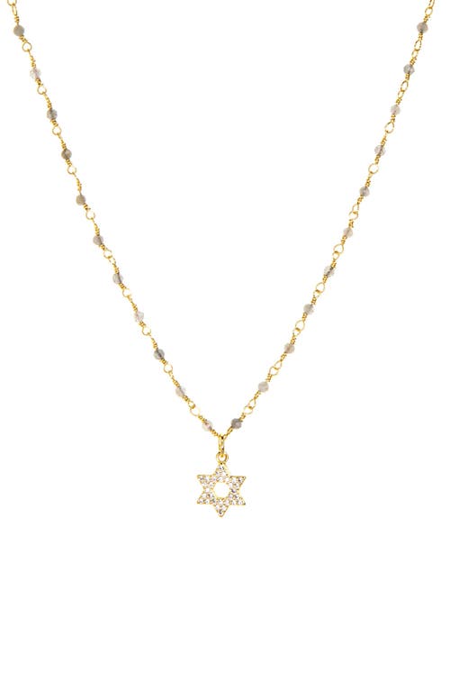 MARLYN SCHIFF MARLYN SCHIFF Star of David Pavé Pendant Necklace