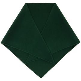 Marni Marni Green Mini Logo Triangle Scarf