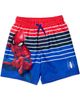Marvel Marvel 2-Piece Rash Guard and Swim Trunks Set - 4