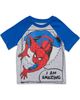 Marvel Marvel Avengers Short Sleeve T-Shirt Multipack - 3