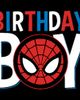 Marvel Marvel Boys' Birthday Boy Spider-Man Short Sleeve Graphic T-Shirt - 2