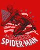 Marvel: Spider-Man Marvel: Spider-Man Girls' The Amazing American Spidey Graphic Short Sleeve T-Shirt - 2