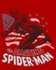 Marvel: Spider-Man Marvel: Spider-Man Men's The Amazing American Spidey Short Sleeve Graphic T-Shirt - 2