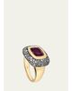 Mason and Books 14K Large Floret Ring with East-West Rubellite and Diamonds - 1