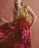 Matthew Williamson x Free People Matthew Williamson x Free People Palma Printed Maxi Dress - 3