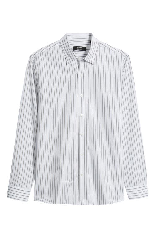 Mavi Jeans Mavi Jeans Stripe Regular Fit Cotton Button-Up Shirt