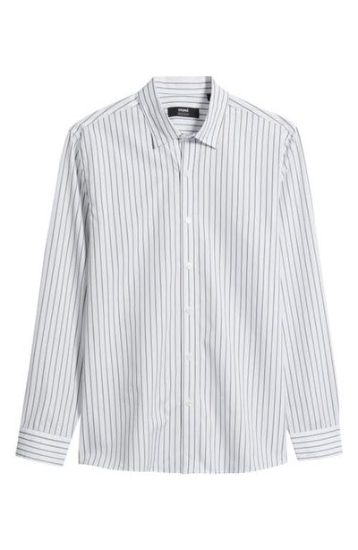 Mavi Jeans Mavi Jeans Stripe Regular Fit Cotton Button-Up Shirt