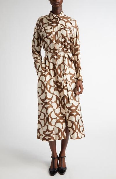 Max Mara Max Mara Ileana Print Long Sleeve Silk Shirtdress