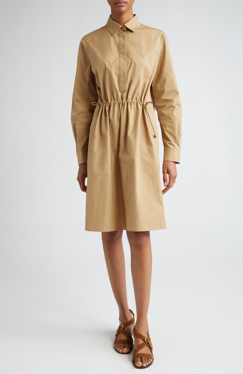 Max Mara Max Mara Juanita Cinch Waist Long Sleeve Poplin Shirtdress