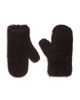 Max Mara Max Mara Ombrato Teddy Alpaca Wool & Silk Mittens - 1