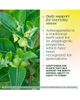 MegaFood MegaFood Ashwagandha Complex, Cortisol Supplement, Vegetarian, Gluten Free, 60 Mini Tablets - 5