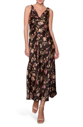 Sho Dress
