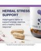 Metagenics Metagenics Adreset Adaptogen Formula Stress Resilience Capsules 60 Capsules - 4