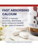 Metagenics Metagenics Bone Builder Extra Strength Microcrystalline Hydroxyapatite Calcium Supplement Tablets 90 Tablets - 4