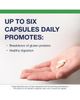 Metagenics Metagenics SpectraZyme Gluten Digest Enzyme Capsules 40 Capsules - 3