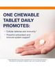 Metagenics Metagenics Ultra Potent-C Chewable Buffered Vitamin C Supplement 90 Tablets - 3