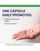 Metagenics Metagenics UltraFlora Immune Booster Shelf-Stable Probiotic Supplement 30 Count - 3