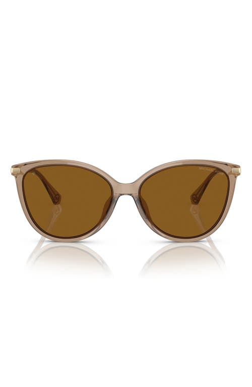 Michael Kors Michael Kors Dupont 58mm Polarized Cat Eye Sunglasses