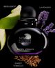 MICHEL GERMAIN MICHEL GERMAIN Sexual Mens Noir Eau de Toilette Spray - 2