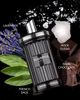 MICHEL GERMAIN Michel Germain Sugarful Noir Homme Eau de Toilette Spray - 2