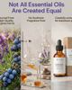 MIKO MIKO Unwind Essential Oil with Lavender & Juniper 100% Organic 15ml - 4