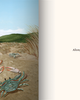 Milkbarn Milkbarn A Sand Story Book - 2
