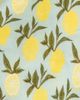 Milkbarn Milkbarn Organic Cotton Swaddle - 2